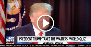 Trump: Running Against Elizabeth Warren Would Be A Dream Come True - MILO NEWS