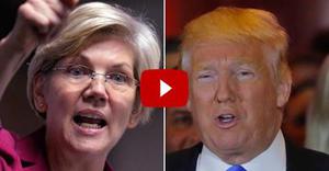 TPNN | Reading Elizabeth Warren’s Twitter page throughout the rise...