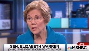 Elizabeth Warren Says Trump Won Because of "Ugly Stew of Racism" (VIDEO)